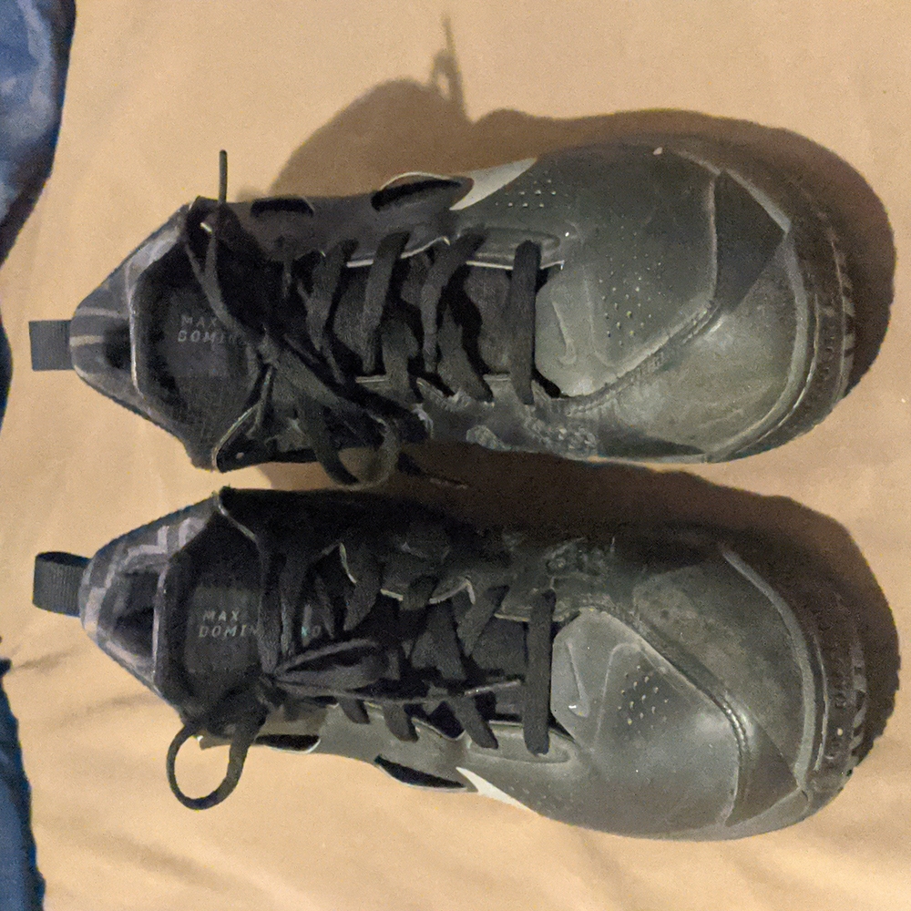 Nike Air Max Dominate XD